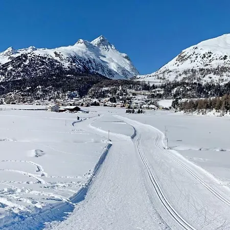 Residenza Chesa Margun 66-2 By Interhome 公寓 苏尔勒吉